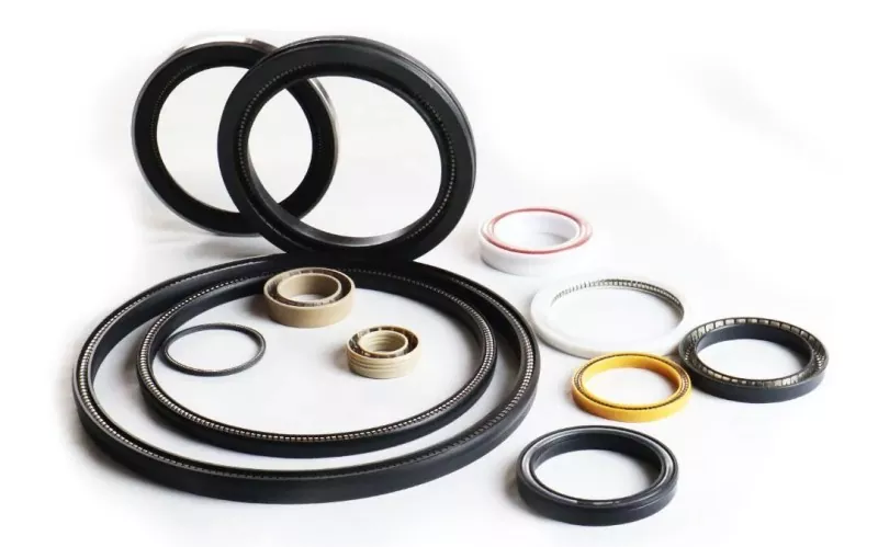Spring-Energized Seal