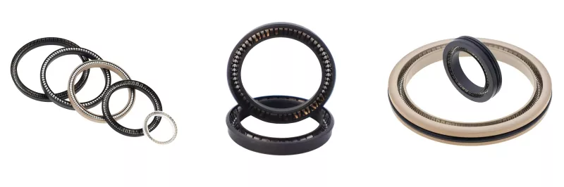 Spring Energized Seals