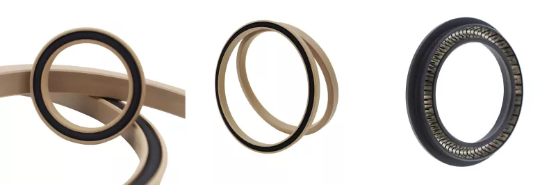 Spring Energized Seals