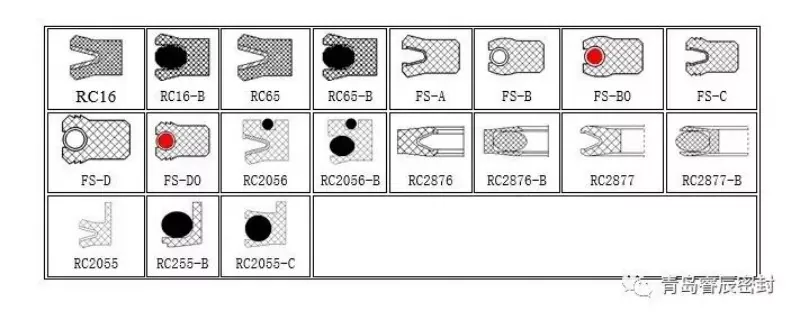 Spring Energized Seals