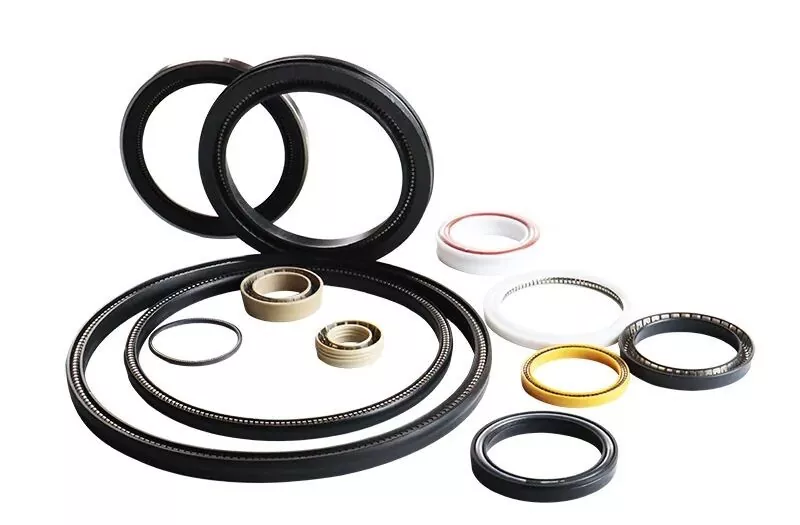Spring Energized Seals