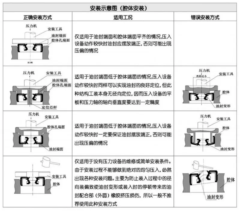 Rotary shaft lip seals