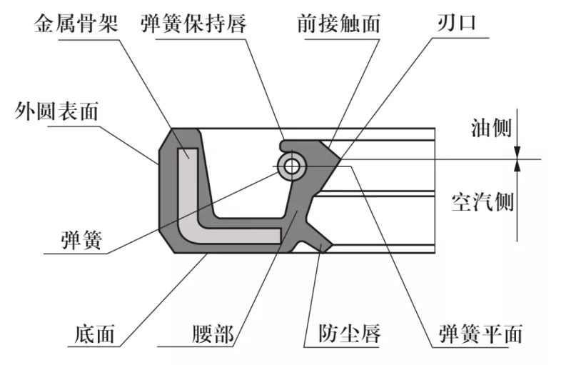 Rotary shaft lip seals