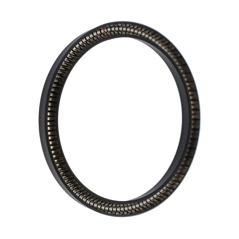 PTFE Spring-Energized Piston Seals