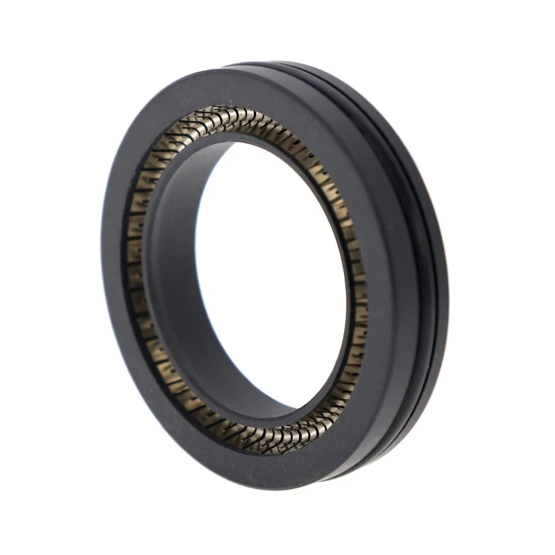 PTFE Spring-Energized Seal for Rotary