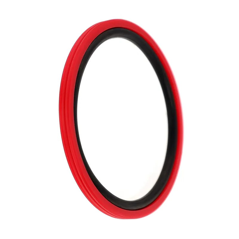 RPW Type Glyd Ring Seal