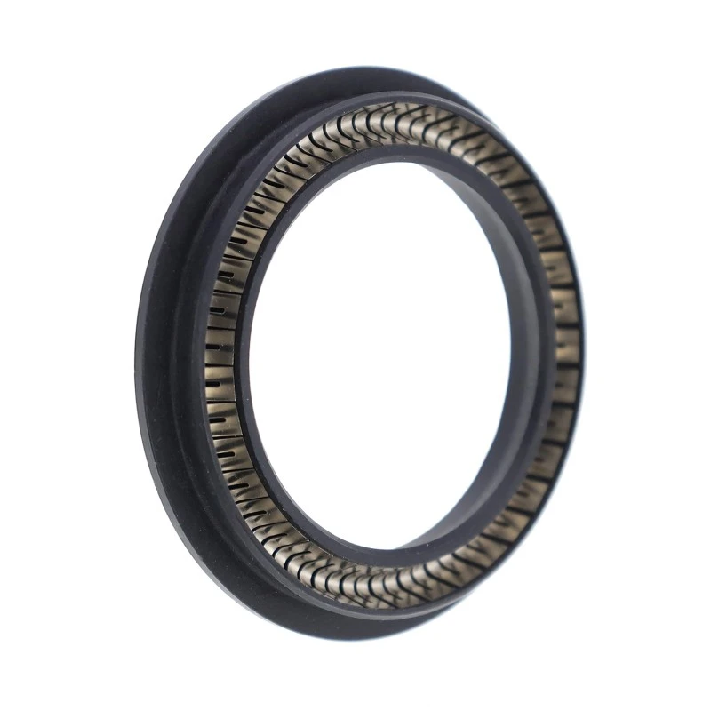 Spring-Energized Seal for Rotary Shafts
