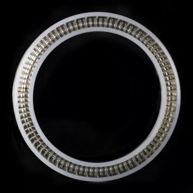 Symmetrical Spring Energized Seal